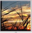 /album/photo-gallery-canvas-uri/decoratiuni-de-perete-canvas-lc-1090-jpg/
